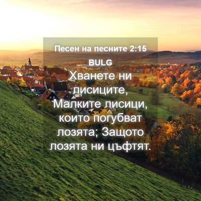 Picture 04 - Песен на песните 2:15 BULG - Хванете ни лисиците, - Bible Verse Picture