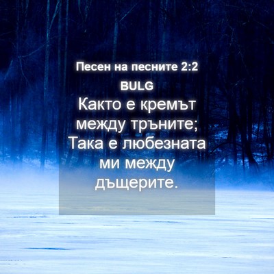 Picture 04 - Песен на песните 2:2 BULG - Както е кремът между - Bible Verse Picture