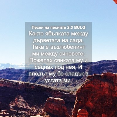 Picture 04 - Песен на песните 2:3 BULG - Както ябълката между - Bible Verse Picture