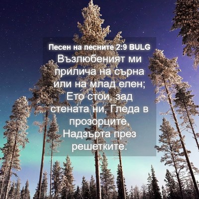 Picture 04 - Песен на песните 2:9 BULG - Възлюбеният ми прилича на - Bible Verse Picture