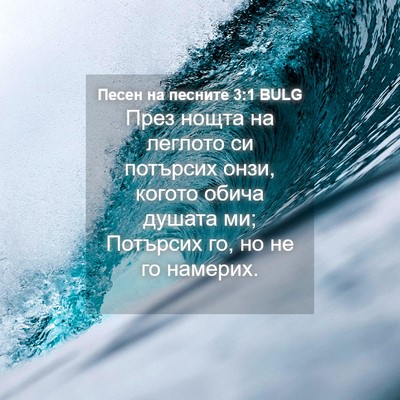 Picture 04 - Песен на песните 3:1 BULG - През нощта на леглото си - Bible Verse Picture