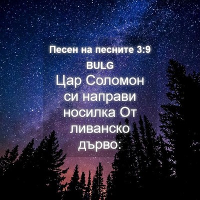 Picture 04 - Песен на песните 3:9 BULG - Цар Соломон си направи - Bible Verse Picture