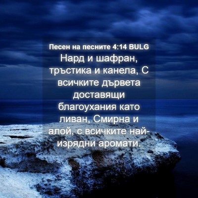 Picture 04 - Песен на песните 4:14 BULG - Нард и шафран, тръстика и - Bible Verse Picture