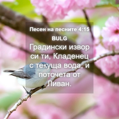 Picture 04 - Песен на песните 4:15 BULG - Градински извор си ти, - Bible Verse Picture