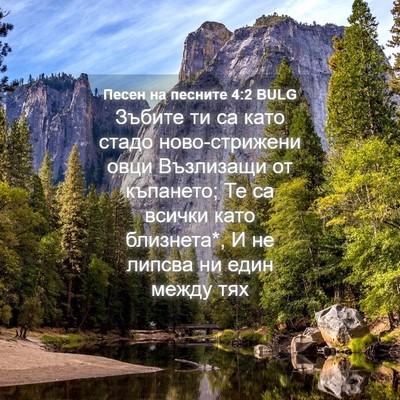 Picture 04 - Песен на песните 4:2 BULG - Зъбите ти са като стадо - Bible Verse Picture