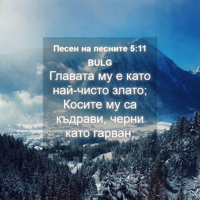 Picture 04 - Песен на песните 5:11 BULG - Главата му е като най-чисто - Bible Verse Picture