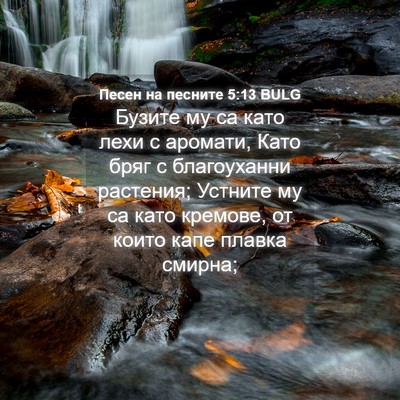 Picture 04 - Песен на песните 5:13 BULG - Бузите му са като лехи с - Bible Verse Picture