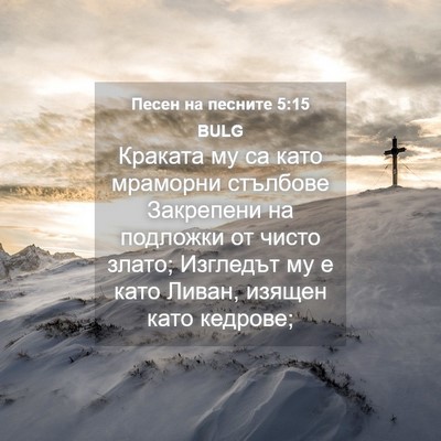Picture 04 - Песен на песните 5:15 BULG - Краката му са като - Bible Verse Picture