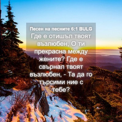 Picture 04 - Песен на песните 6:1 BULG - Где е отишъл твоят - Bible Verse Picture