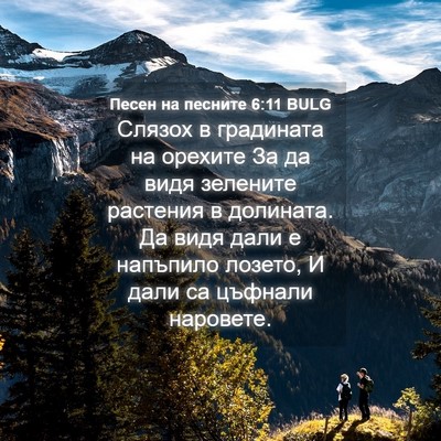 Picture 04 - Песен на песните 6:11 BULG - Слязох в градината на - Bible Verse Picture