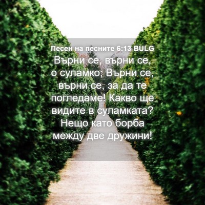 Picture 04 - Песен на песните 6:13 BULG - Върни се, върни се, о - Bible Verse Picture