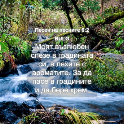 Picture 04 - Песен на песните 6:2 BULG - Моят възлюбен слезе в - Bible Verse Picture