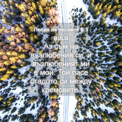 Picture 04 - Песен на песните 6:3 BULG - Аз съм на възлюбения си, и - Bible Verse Picture