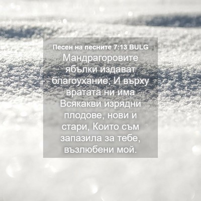 Picture 04 - Песен на песните 7:13 BULG - Мандрагоровите ябълки - Bible Verse Picture