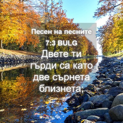 Picture 04 - Песен на песните 7:3 BULG - Двете ти гърди са като две - Bible Verse Picture
