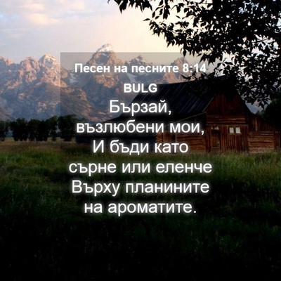 Picture 04 - Песен на песните 8:14 BULG - Бързай, възлюбени мои, И - Bible Verse Picture
