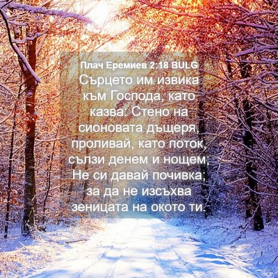Picture 04 - Плач Еремиев 2:18 BULG - Сърцето им извика към - Bible Verse Picture