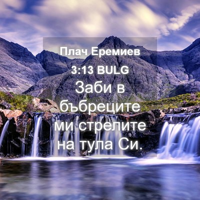 Picture 04 - Плач Еремиев 3:13 BULG - Заби в бъбреците ми - Bible Verse Picture