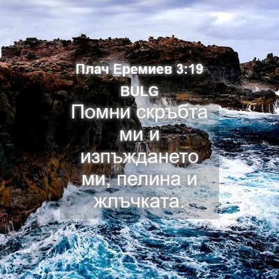Picture 04 - Плач Еремиев 3:19 BULG - Помни скръбта ми и - Bible Verse Picture
