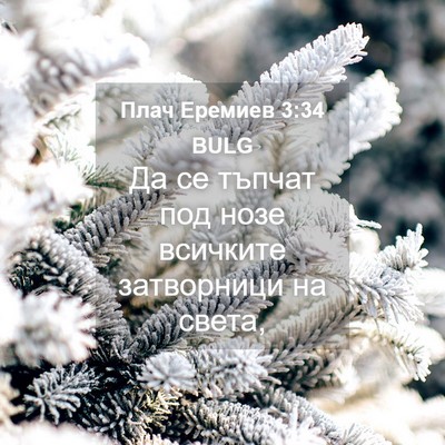 Picture 04 - Плач Еремиев 3:34 BULG - Да се тъпчат под нозе - Bible Verse Picture