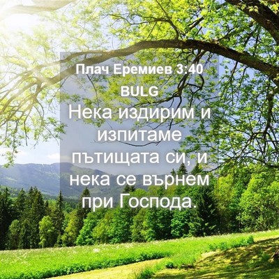 Picture 04 - Плач Еремиев 3:40 BULG - Нека издирим и изпитаме - Bible Verse Picture