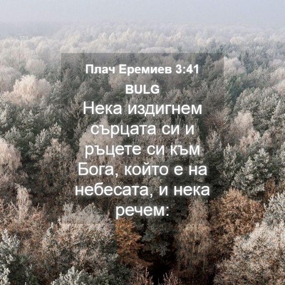 Picture 04 - Плач Еремиев 3:41 BULG - Нека издигнем сърцата си и - Bible Verse Picture