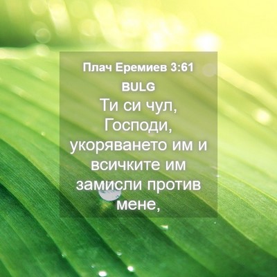 Picture 04 - Плач Еремиев 3:61 BULG - Ти си чул, Господи, - Bible Verse Picture