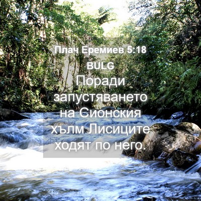 Picture 04 - Плач Еремиев 5:18 BULG - Поради запустяването на - Bible Verse Picture