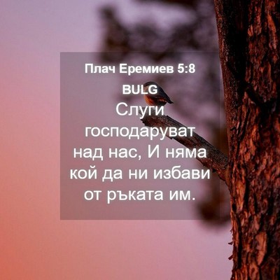 Picture 04 - Плач Еремиев 5:8 BULG - Слуги господаруват над - Bible Verse Picture
