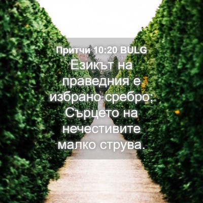 Picture 04 - Притчи 10:20 BULG - Езикът на праведния е - Bible Verse Picture