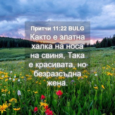 Picture 04 - Притчи 11:22 BULG - Както е златна халка на - Bible Verse Picture