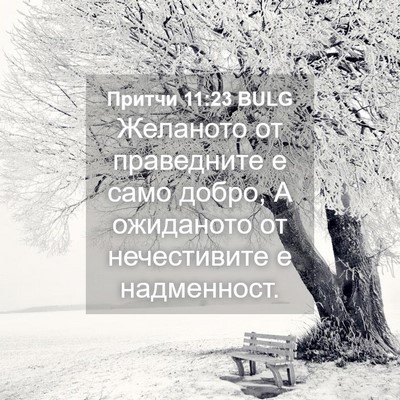 Picture 04 - Притчи 11:23 BULG - Желаното от праведните е - Bible Verse Picture
