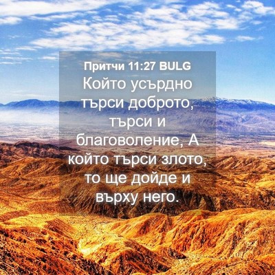 Picture 04 - Притчи 11:27 BULG - Който усърдно търси - Bible Verse Picture