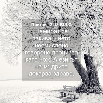 Picture 04 - Притчи 12:18 BULG - Намират се такива, чието - Bible Verse Picture