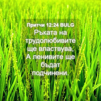 Picture 04 - Притчи 12:24 BULG - Ръката на трудолюбивите ще - Bible Verse Picture