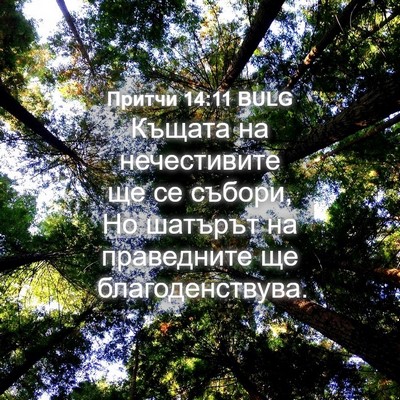 Picture 04 - Притчи 14:11 BULG - Къщата на нечестивите ще - Bible Verse Picture