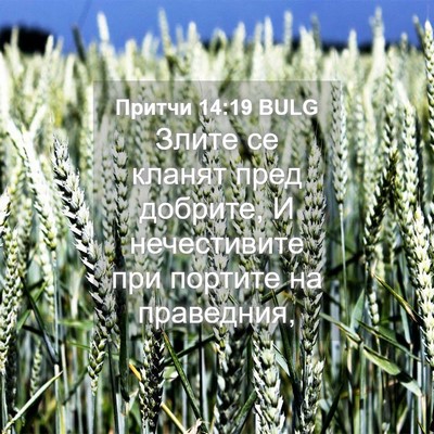 Picture 04 - Притчи 14:19 BULG - Злите се кланят пред - Bible Verse Picture
