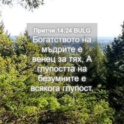 Picture 04 - Притчи 14:24 BULG - Богатството на мъдрите е - Bible Verse Picture