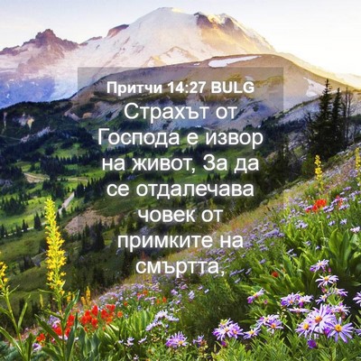 Picture 04 - Притчи 14:27 BULG - Страхът от Господа е извор - Bible Verse Picture