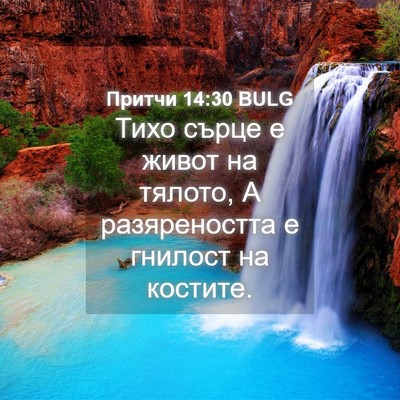 Picture 04 - Притчи 14:30 BULG - Тихо сърце е живот на - Bible Verse Picture