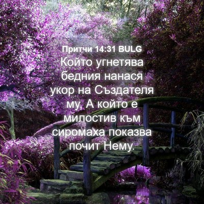Picture 04 - Притчи 14:31 BULG - Който угнетява бедния - Bible Verse Picture