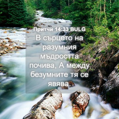 Picture 04 - Притчи 14:33 BULG - В сърцето на разумния - Bible Verse Picture