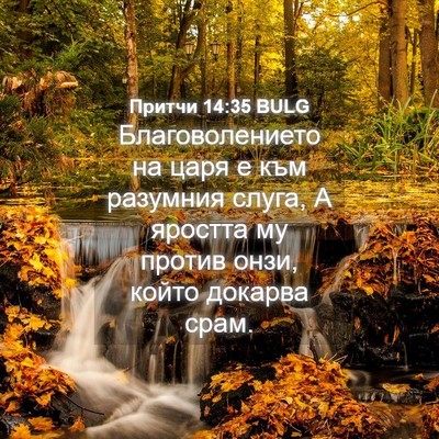 Picture 04 - Притчи 14:35 BULG - Благоволението на царя е - Bible Verse Picture