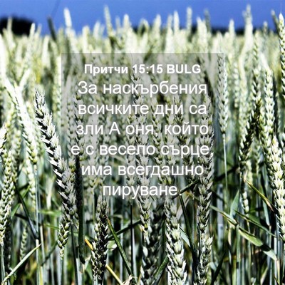 Picture 04 - Притчи 15:15 BULG - За наскърбения всичките - Bible Verse Picture