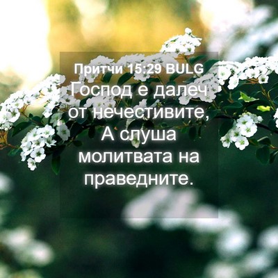 Picture 04 - Притчи 15:29 BULG - Господ е далеч от - Bible Verse Picture