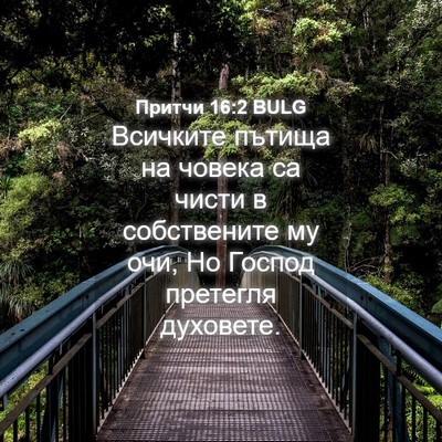 Picture 04 - Притчи 16:2 BULG - Всичките пътища на човека - Bible Verse Picture