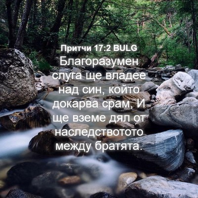 Picture 04 - Притчи 17:2 BULG - Благоразумен слуга ще - Bible Verse Picture