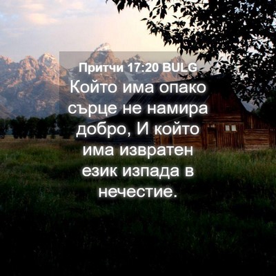 Picture 04 - Притчи 17:20 BULG - Който има опако сърце не - Bible Verse Picture