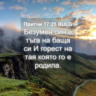 Picture 04 - Притчи 17:25 BULG - Безумен син е тъга на баща - Bible Verse Picture