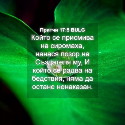 Picture 04 - Притчи 17:5 BULG - Който се присмива на - Bible Verse Picture